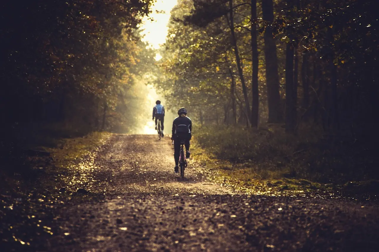 To cyklister i gyldent lys
